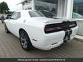 Dodge Challenger Tout compris hors homologation 4500e Blanc - thumbnail 17
