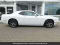 Dodge Challenger Tout compris hors homologation 4500e Blanc - thumbnail 20
