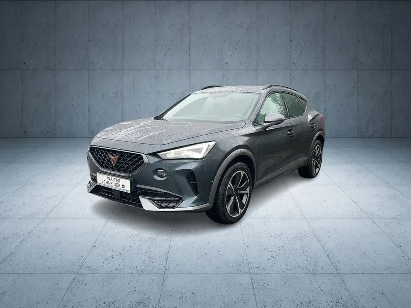 CUPRA Formentor 1.5 TSI DSG Navi LED AHK Gris - 2