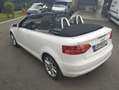 Audi A3 A3 Cabriolet 1,2 TFSI Comfort Edition Edition Weiß - thumbnail 3
