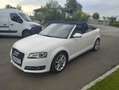 Audi A3 A3 Cabriolet 1,2 TFSI Comfort Edition Edition Weiß - thumbnail 6