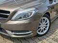 Mercedes-Benz B 250 /Bi-Xenon/PANO/AUTOMATIK/LEDER/ASYSST-PLUS Grau - thumbnail 10