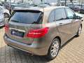 Mercedes-Benz B 250 /Bi-Xenon/PANO/AUTOMATIK/LEDER/ASYSST-PLUS Grau - thumbnail 7