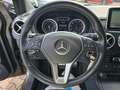 Mercedes-Benz B 250 /Bi-Xenon/PANO/AUTOMATIK/LEDER/ASYSST-PLUS Grau - thumbnail 14