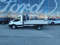 Ford Transit 350 tr.post. 2.0 tdci 130cv trend l3 r.sing. e6.2 Bianco - thumbnail 3