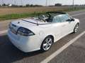 Saab 9-3 Cabrio 1.9 ttid Vector 160cv - thumbnail 19