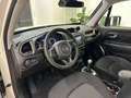 Jeep Renegade Renegade 1.6 mjt Longitude 2wd 130cv Bianco - thumbnail 12