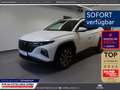 Hyundai TUCSON Trend 1.6 T-GDI 48V 2WD AHK-abnehmbar Navi El. Hec Bianco - thumbnail 1