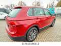 Volkswagen Tiguan Comfortline BMT/Start-Stopp Neue Model Rojo - thumbnail 3