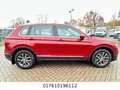 Volkswagen Tiguan Comfortline BMT/Start-Stopp Neue Model Rojo - thumbnail 2