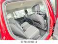 Volkswagen Tiguan Comfortline BMT/Start-Stopp Neue Model Rojo - thumbnail 14