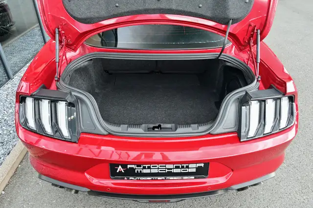 Ford Mustang view 8
