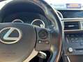 Lexus IS 300 300h ECO Wit - thumbnail 22