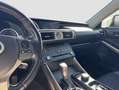 Lexus IS 300 300h ECO Wit - thumbnail 13