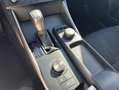 Lexus IS 300 300h ECO Wit - thumbnail 14