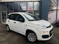 Fiat Panda 0.9 TwinAir Pop | Elek-Pakket | 59000 KM N.A.P Blanc - thumbnail 3