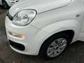 Fiat Panda 0.9 TwinAir Pop | Elek-Pakket | 59000 KM N.A.P Blanc - thumbnail 9