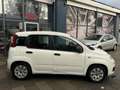 Fiat Panda 0.9 TwinAir Pop | Elek-Pakket | 59000 KM N.A.P Blanc - thumbnail 4