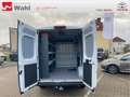 Toyota Proace Max L2H2,AHK,Regalsystem Würth Blanc - thumbnail 10