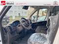 Toyota Proace Max L2H2,AHK,Regalsystem Würth Blanc - thumbnail 11