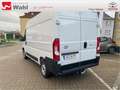 Toyota Proace Max L2H2,AHK,Regalsystem Würth Blanc - thumbnail 2