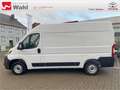 Toyota Proace Max L2H2,AHK,Regalsystem Würth Blanc - thumbnail 3