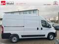 Toyota Proace Max L2H2,AHK,Regalsystem Würth Blanc - thumbnail 21