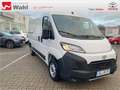 Toyota Proace Max L2H2,AHK,Regalsystem Würth Blanc - thumbnail 23