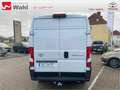 Toyota Proace Max L2H2,AHK,Regalsystem Würth Blanc - thumbnail 4