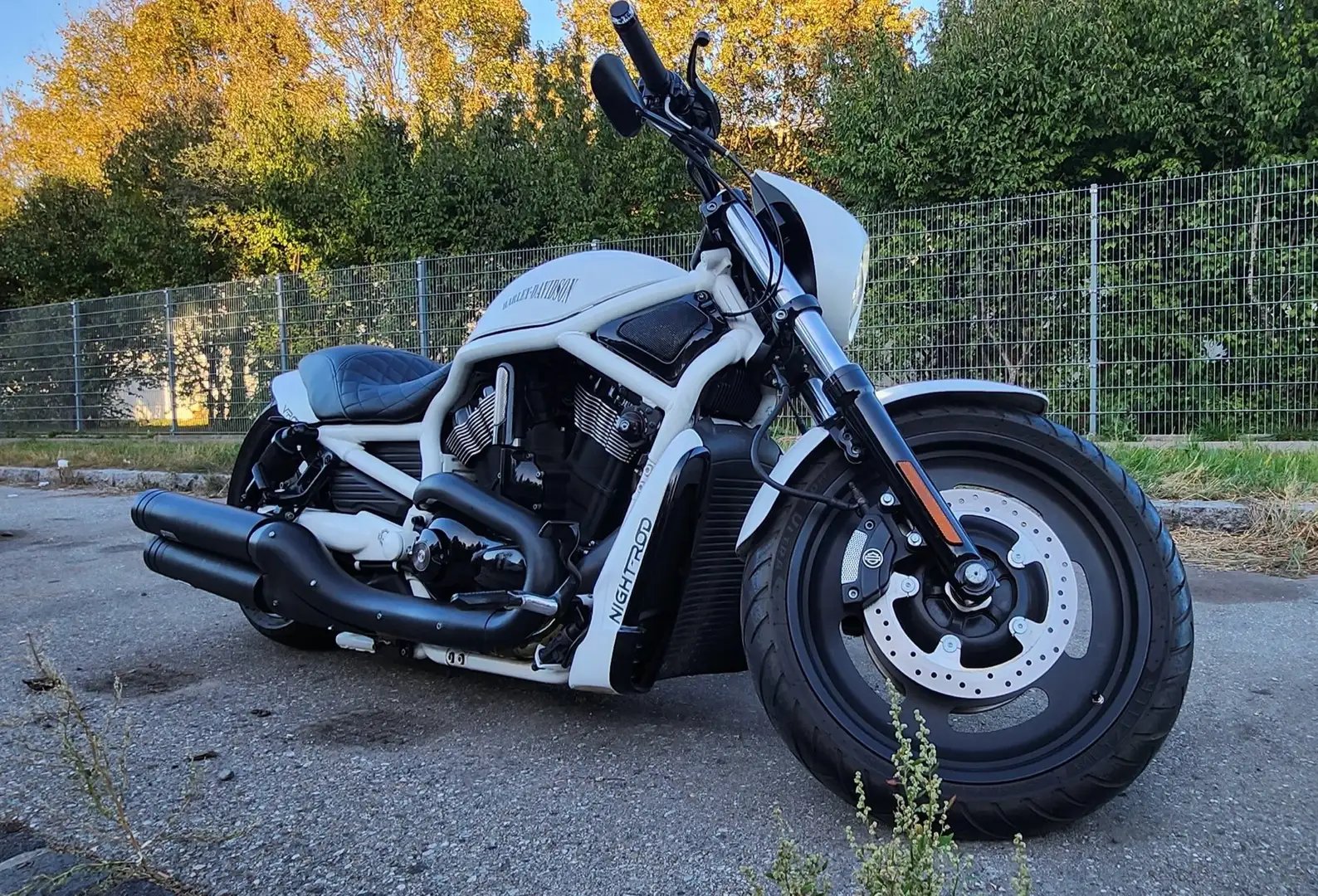 Harley-Davidson Night Rod Special WHITE BEAST Weiß - 2