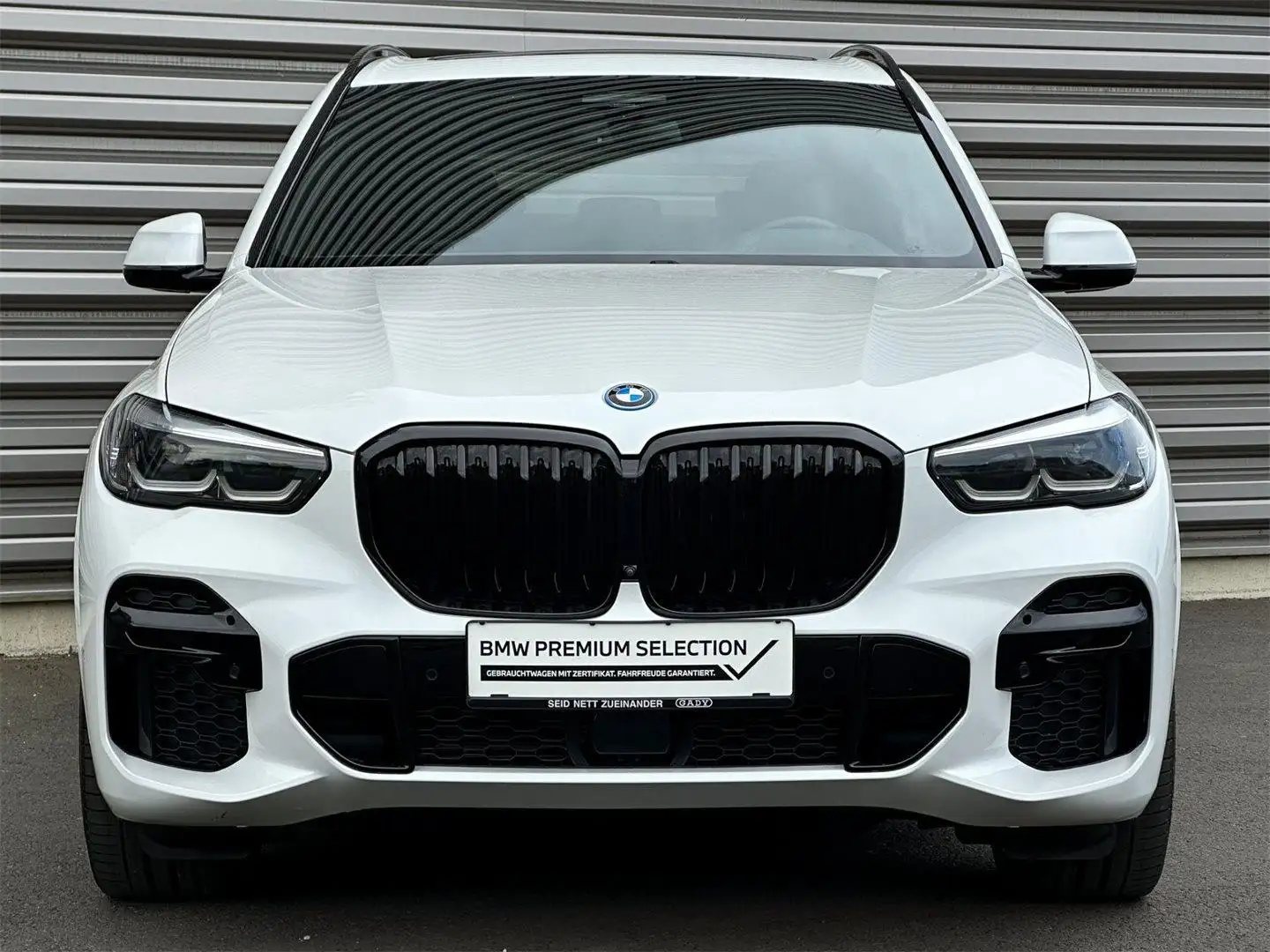 BMW X5 xDrive45e Wit - 2