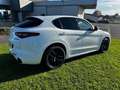 Alfa Romeo Stelvio 2.2 MJD AWD Veloce Blanc - thumbnail 2
