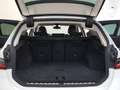 BMW 320 d xDrive Sport Line M Leuchten Shadow Line Laserl. Weiß - thumbnail 14