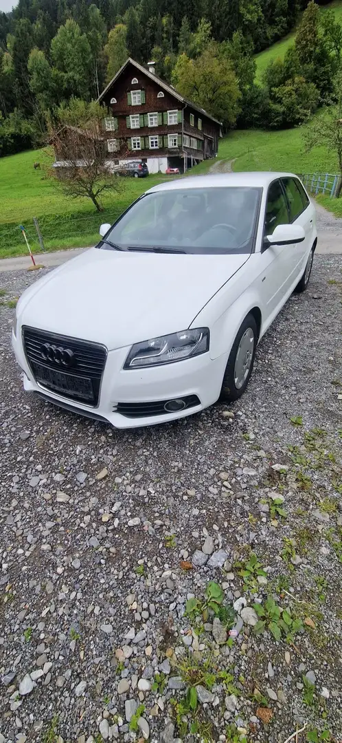 Audi A3 A3 2,0 TDI quattro S-line Weiß - 2