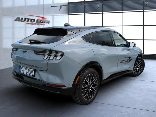 Ford Mustang Mach-E view 5