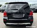 Mercedes-Benz GLK 220 GLK 220 CDI 4MATIC Panorama AHK Distronic Navi Zwart - thumbnail 5
