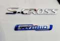 Suzuki SX4 S-Cross S-Cross 1.4h Top+ 4wd allgrip KM ZERO Bianco - thumbnail 14