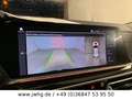 BMW X5 xDr 40 i xLine Laser 19" 360K DisplayK HeadUp Oro - thumbnail 16