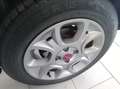 Fiat Panda 1.3 mjt 16v 4x4 75cv OK NEOPATENTATI Verde - thumbnail 4