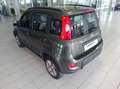 Fiat Panda 1.3 mjt 16v 4x4 75cv OK NEOPATENTATI Verde - thumbnail 13