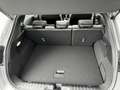 Ford Puma 1.0 EcoBoost Hybrid ST-Line X | Panoramadak | Full - thumbnail 14