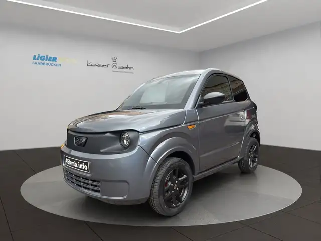 Ligier Myli MyLi D MAX E5+*MJ 2026*CarPlay*