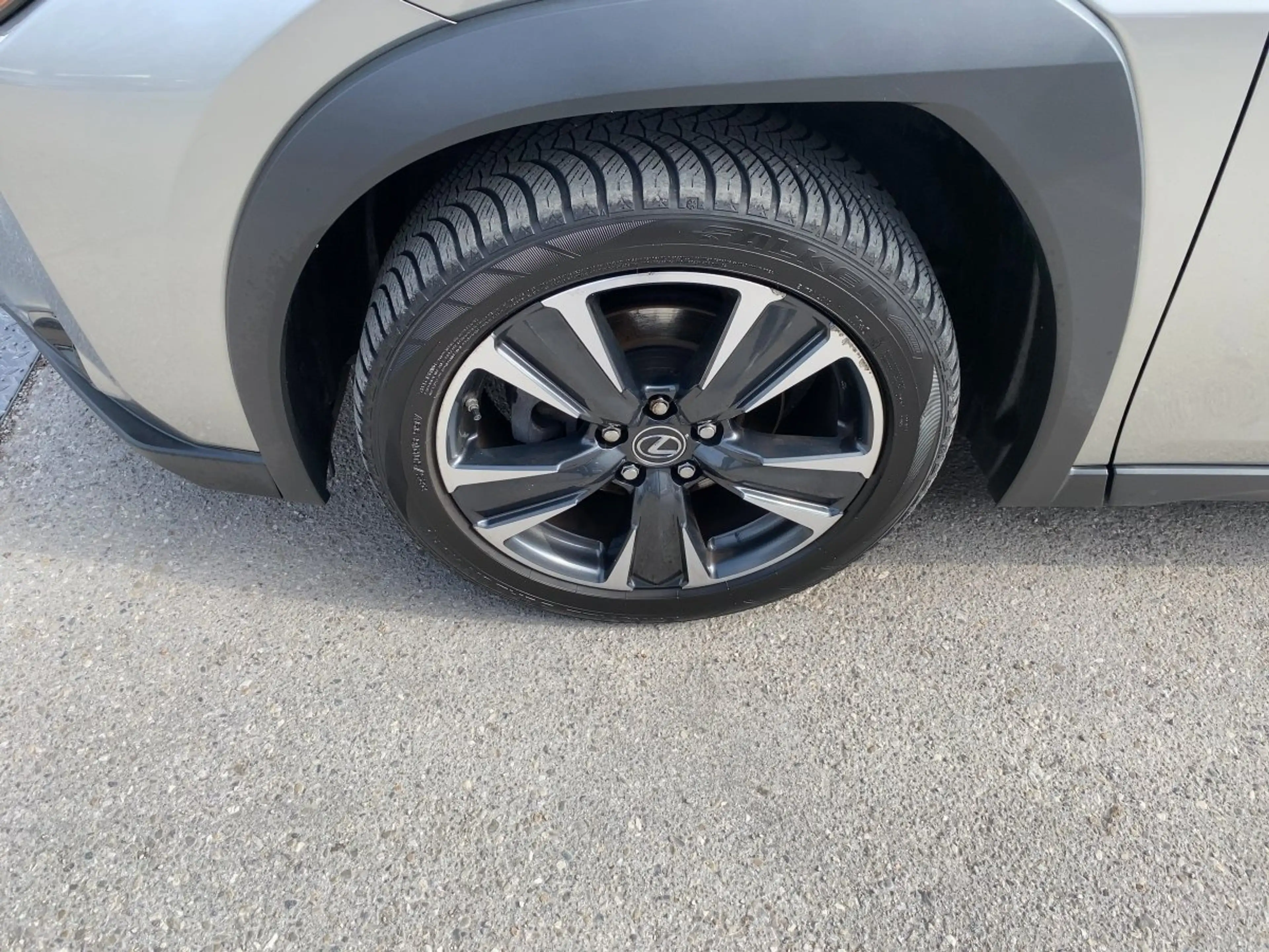 Lexus UX 250h UX 250 h Style Edition zuverlässiger Crossover — photo 10