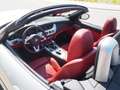 BMW Z4 sDrive35i DKG Gris - thumbnail 12
