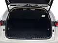 Lexus NX 300 300h Premium 2WD Blanco - thumbnail 9