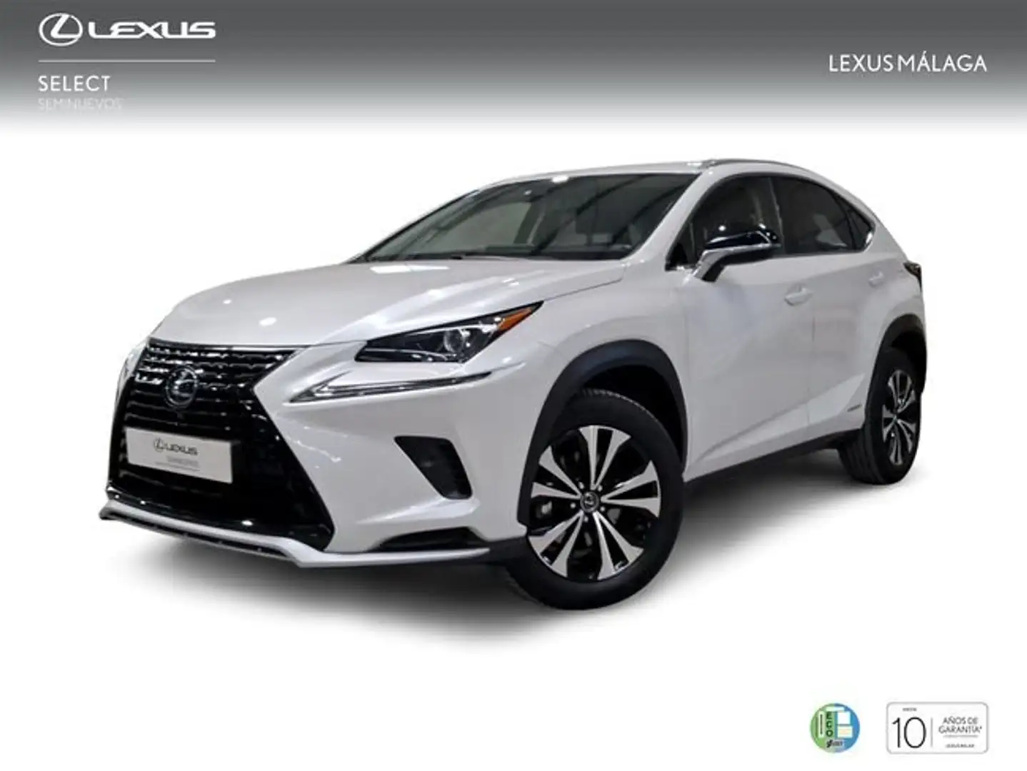 Lexus NX 300 300h Premium 2WD Blanco - 1