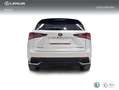 Lexus NX 300 300h Premium 2WD Blanco - thumbnail 4