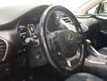 Lexus NX 300 300h Premium 2WD Blanco - thumbnail 16