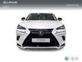 Lexus NX 300 300h Premium 2WD Blanco - thumbnail 5