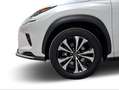 Lexus NX 300 300h Premium 2WD Blanco - thumbnail 10